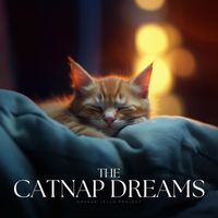 Relax My Kitten - The Catnap Dreams