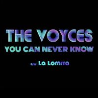 The Voyces - You Can Never Know / La Lomita