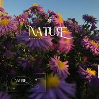 Kayaxx - Nature