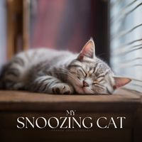 Pet Music - My Snoozing Cat