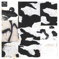 Client_03 - IntrospectionDecimator