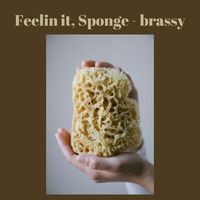 Brassy - Feelin It, Sponge