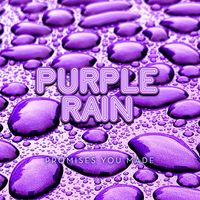 Purple Rain - Promises You Made