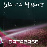 Database - Wait a Minute