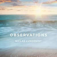 Niclas Lundqvist - Observations