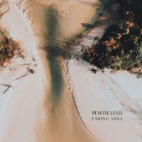 Peyote Level - Fading Soul