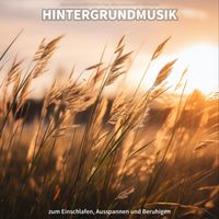 Entspannungsmusik Matthias Veny & Entspannungsmusik & Schlafmusik - Hintergrundmusik zum Einschlafen, Ausspannen und Beruhigen