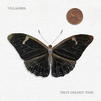 VILLAGERS - You Lucky One
