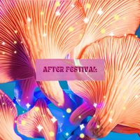 Various Artist - After Festival