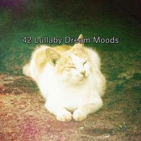 Dormir - 42 Lullaby Dream Moods