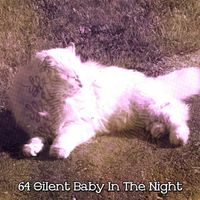 Dormir - 64 Silent Baby In The Night
