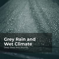 Deep Sleep Rain Sounds, Rain Meditations, Rain Sounds Collection - Grey Rain and Wet Climate