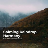 Nature Rain Relaxation, Rain Recorders, Rainfall - Calming Raindrop Harmony