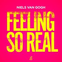 Niels Van Gogh - Feeling So Real