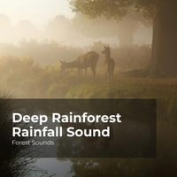 Forest Sounds, Ambient Forest, Rainforest Sounds - Deep Rainforest Rainfall Sound