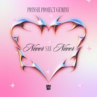 PRINSH, Project Gemini - Never Say Never