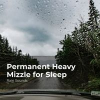 Rain Sounds, Natural Rain Sounds for Sleeping, Rain Storm Sample Library - Permanent Heavy Mizzle for Sleep