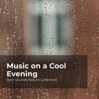 Rain Sounds Nature Collection, ASMR Rain Sounds, Sleepy Rain - Music on a Cool Evening