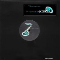 Snitzer & Mc Coy - Auto Agression