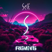 Self - Fragments