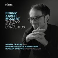 Andriy Dragan, Musikkollegium Winterthur & Bogdan Božović - Piano Concerto No. 1 in C Major, Op. 14: II. Adagio