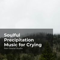 Rain Sound Studio, Meditation Rain Sounds, The Rain Library - Soulful Precipitation Music for Crying