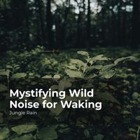 Jungle Rain, Nature and Rain, Deep Rain Sampling - Mystifying Wild Noise for Waking