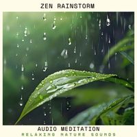 Audio Meditation - Zen Rainstorm