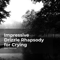 Rain Sounds, Natural Rain Sounds for Sleeping, Rain Storm Sample Library - Impressive Drizzle Rhapsody for Crying