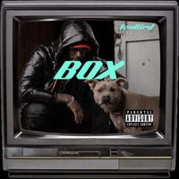 Icebird - BOX (Explicit)