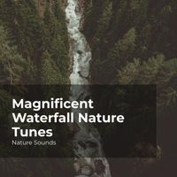Nature Sounds, Sleep Sounds of Nature, Nature Sounds Nature Music - Magnificent Waterfall Nature Tunes