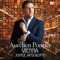 Aurélien Pontier - Vienna: Joyful Apocalypse - Kreisler: 3 Alt-Wiener Tanzweisen: No. 2, Liebesleid (Arr. Rachmaninov for Piano)
