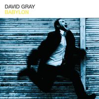 David Gray - Babylon EP
