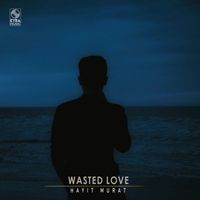 Hayit Murat - Wasted Love