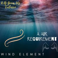 Dj Genius Wiz - Wind Element