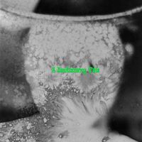 Frankly - A Cautionary Tale