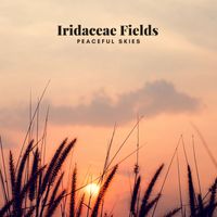 Iridaceae Fields - Peaceful Skies