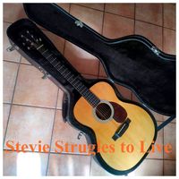 Federico Fiorillo - Stevie Struggles to Live