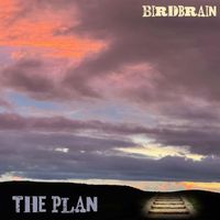 Birdbrain - The Plan