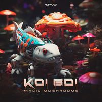 Koi Boi - Magic Mushrooms