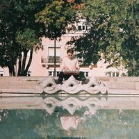 M. Vaughan - Tire Swing