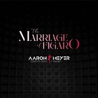 Aaron Meyer - The Marriage of Figaro