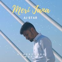 Aj star featuring Partho - Meri jana