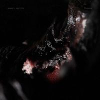 Hannes Kretzer - Paradox