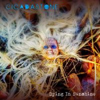 Cicadastone - Dying in Sunshine