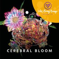 DJ Hardhome - Cerebral Bloom