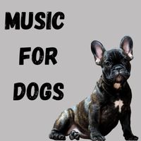 Music For Dogs, Music For Dogs Peace, Calm Pets Music Academy, Relaxing Puppy Music - Music For Dogs (Vol.139)