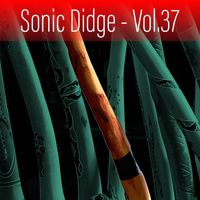 David Hudson - Sonic Didge, Vol. 37