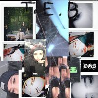 DGS - T.E.B