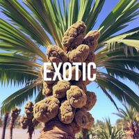 Burst - Exotic (Explicit)